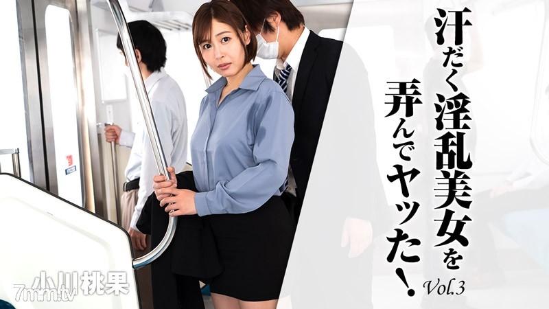 HEYZO-2620 流著汗玩弄淫亂美女