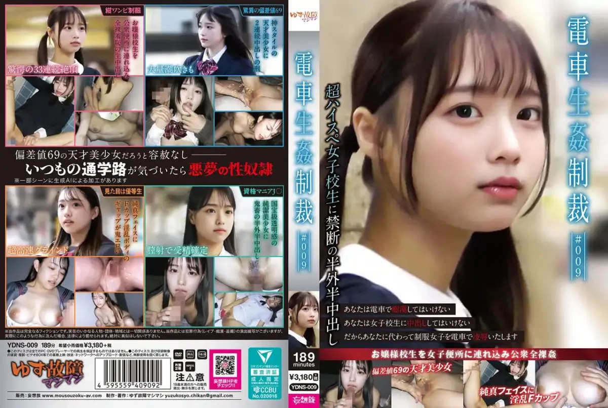 YDNS-009 電車生姦制裁 #009